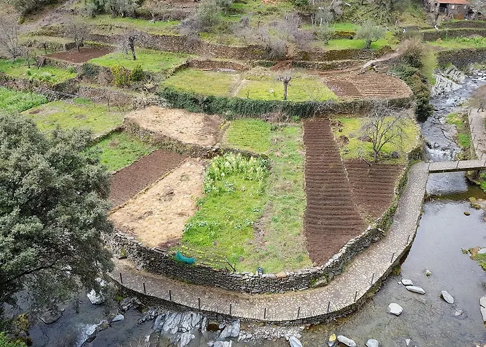 Camino Del Morisco *